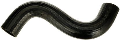 Charger Air Hose