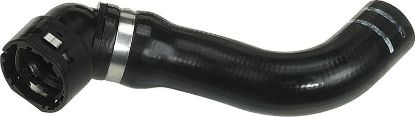 Radiator Hose Fiat