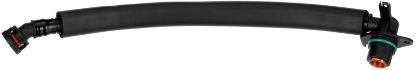 Hose, crankcase ventilation BMW 11617560236/11618645544