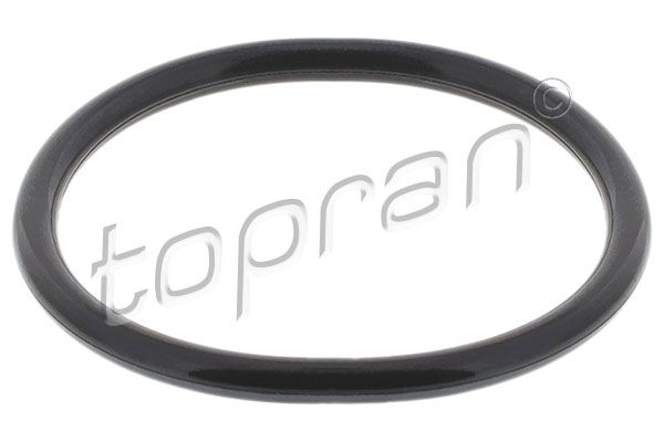 Seal, thermostat FORD