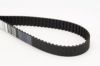 Timing Belt A6 (4A, C4), V70 II (SW, P80_)