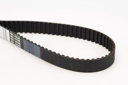 Timing Belt A6 (4A, C4), V70 II (SW, P80_)