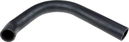 Radiator Hose 3727