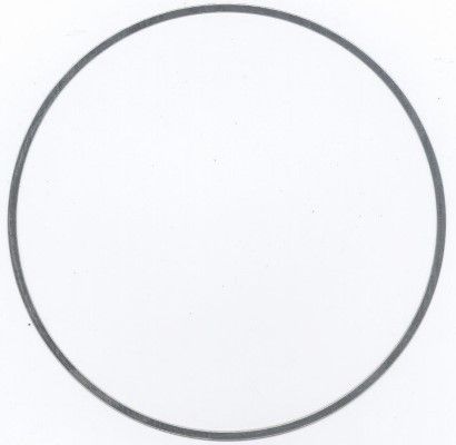 Gasket, cylinder liner DAIMLER NKW