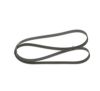 V-Ribbed Belt VAG - 047 903 137 AB - 6PK1750