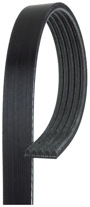 V-Ribbed Belt 5PK1205 - Grand Voyager 2.5D