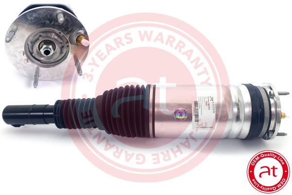 Air Suspension Strut Land Rover Range Rover (2013 - )