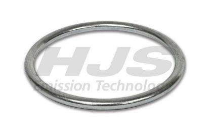 Seal Ring, exhaust pipe