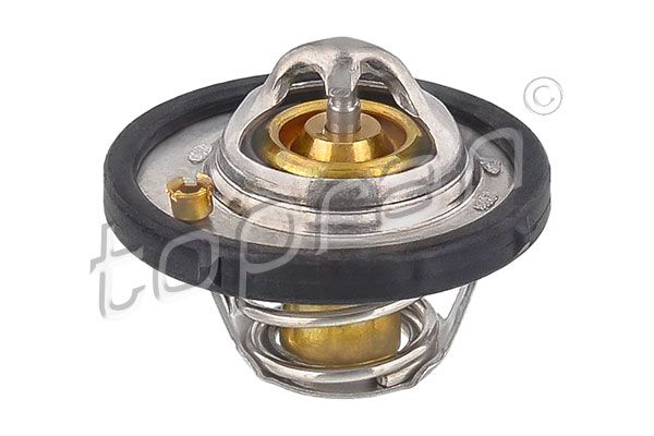 Thermostat, coolant Ford, Volvo