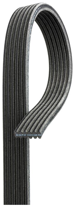 V-Ribbed Belt VIANO (W639), VITO Buss (W639)