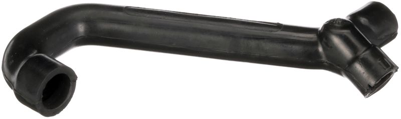 Hose, crankcase ventilation