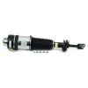 Air Suspension Strut Audi A6 (C6)05-11 esi parem 4F0616040AA