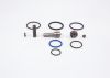 Repair Kit, unit injector