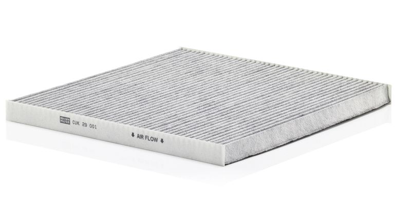 Filter, cabin air Nissan 80001205