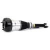 Air Suspension Strut