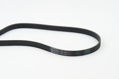 V-Ribbed Belt VAG - 078 903 137BD