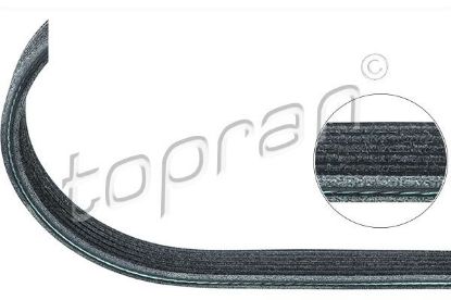 V-Ribbed Belt BMW/MINI