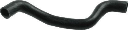 Radiator Hose 3809