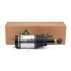 Air Suspension Strut Land Rover Discovery LR3, LR4, Range Rover Sport 0