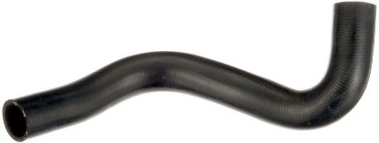 Radiator Hose Chevrolet