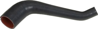 Charger Air Hose