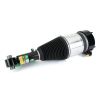 Air Suspension Strut