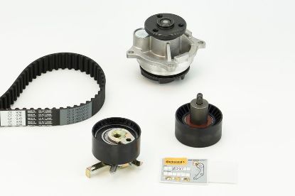 Water Pump & Timing Belt Kit FORD
