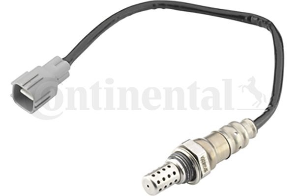Oxygen Sensor