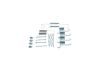 Accessory Kit, brake shoes