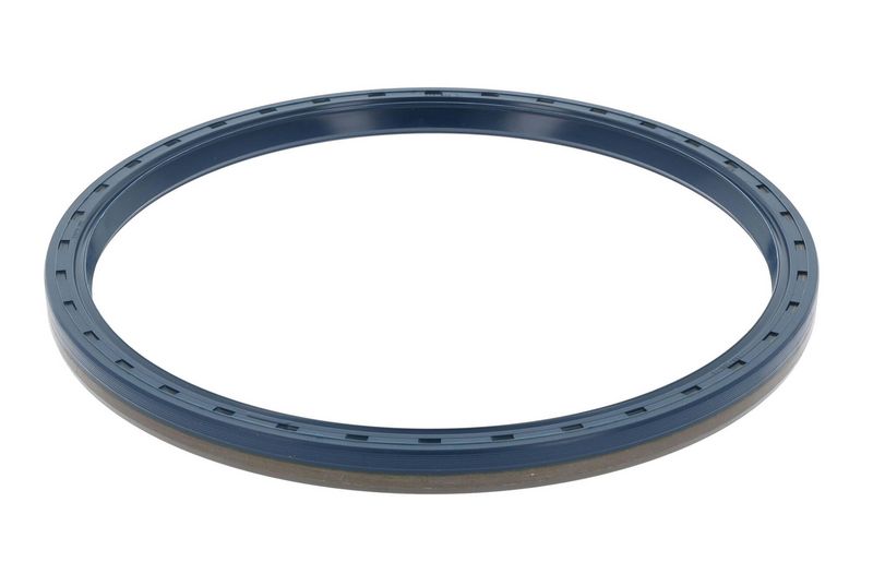 Shaft Seal, differential Iveco 40100439