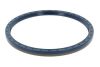 Shaft Seal, differential Iveco 40100439