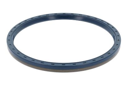 Shaft Seal, differential Iveco 40100439