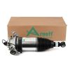 Air Suspension Strut Porsche Cayenne (92A) 10-