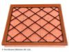 Air Filter GENERAL MOTORS - 13272717