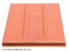 Air Filter GENERAL MOTORS - 13272717