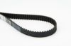 Timing Belt VECTRA B (36_)
