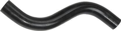 Radiator Hose 3244
