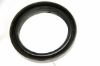 Seal Ring KAMAZ 864180