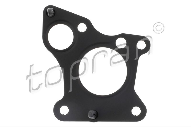 Gasket, EGR valve