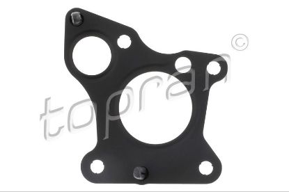 Gasket, EGR valve
