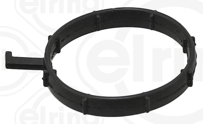 Gasket, coolant flange VOLKSWAGEN