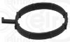 Gasket, coolant flange VOLKSWAGEN
