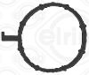 Gasket, coolant flange VOLKSWAGEN