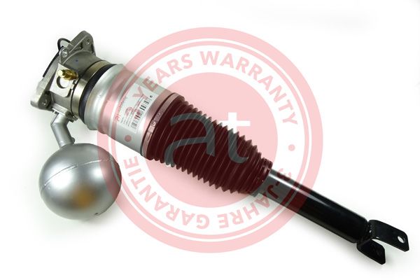 Air Suspension Strut VAG Phaeton (3D) (2002 - 2016)