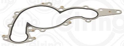 Gasket, water pump Toyota