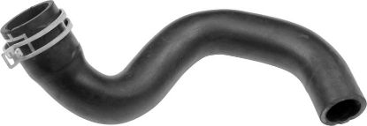 Radiator Hose DACIA 215030997R