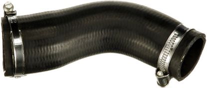 Charger Air Hose