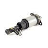 Air Suspension Strut Audi A6, allroad quattro (C5)00-05