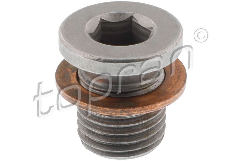 Screw Plug, oil sump VAG-Normteile