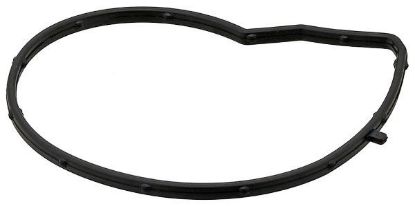 Gasket, water pump BMW Gasket water pump